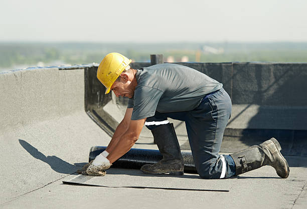 Best Wall Insulation Contractor  in Pinetops, NC