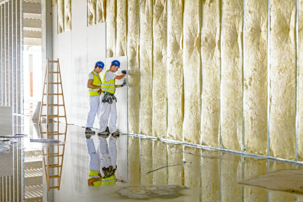 Best Insulation Removal  in Pinetops, NC